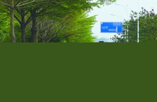 上海春申驾校：新手学车需要注意什么?